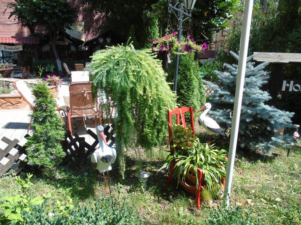 Knaus Apartments Cernăuți Exterior foto